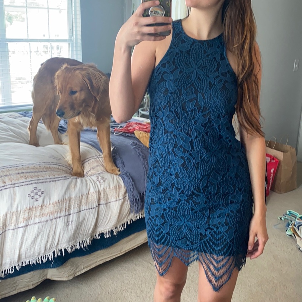 Express Blue Lace Dress